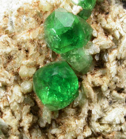 Andradite var. Demantoid Garnet on Diopside from Mana, Barang District, Bajaur Agency, Federally Administered Tribal Areas, Pakistan