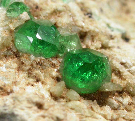 Andradite var. Demantoid Garnet on Diopside from Mana, Barang District, Bajaur Agency, Federally Administered Tribal Areas, Pakistan