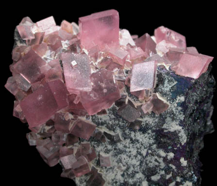 Rhodochrosite from Sweet Home Mine, 04-11 Pocket, Buckskin Gulch, Alma District, Park County, Colorado