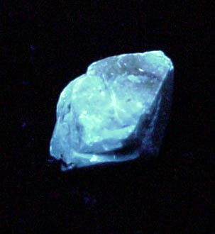 Scheelite from Camp Bird Mine, 7850' stope, 5 Level, King Ore Shoot, Camp Bird Vein, Ouray County, Colorado