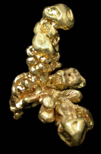 Gold from Michigan Bluff Mine, Michigan Bluff District, Placer County, California