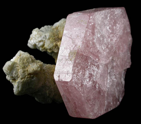 Fluorapatite with Muscovite and Albite from Shah Nassir Peak, Nyet, Braldu Valley, Skardu District, Gilgit-Baltistan, Pakistan