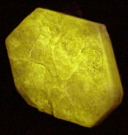 Fluorapatite with Muscovite and Albite from Shah Nassir Peak, Nyet, Braldu Valley, Skardu District, Gilgit-Baltistan, Pakistan