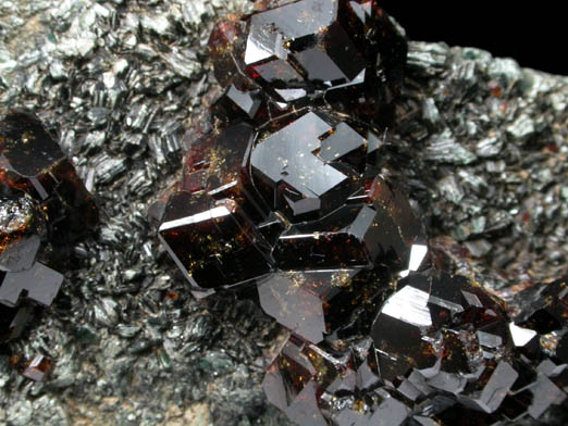 Andradite Garnet with Clinochlore from Mohmand Agency, Federally Administered Tribal Areas, Pakistan