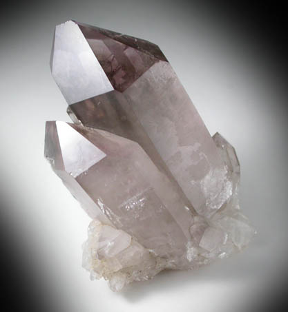 Quartz var. Smoky-Amethyst Quartz from Crystal Park, Beaverhead County, Montana