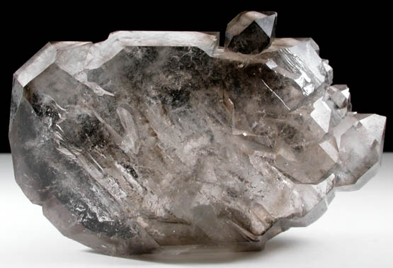 Quartz var. Smoky Quartz from Conselheiro Pea, Doce valley, Minas Gerais, Brazil