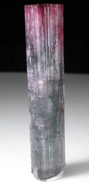 Elbaite Tourmaline from Pederneira Mine, Sao Jose da Safira, Minas Gerais, Brazil