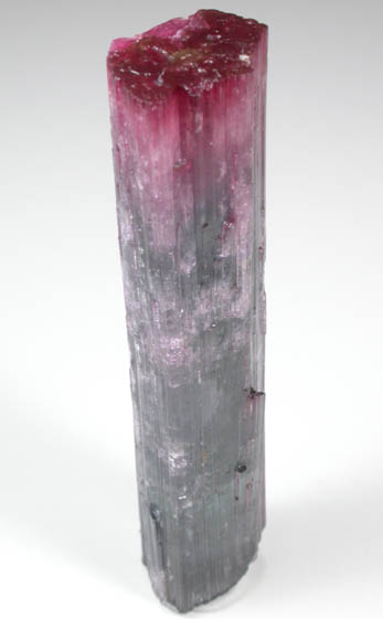 Elbaite Tourmaline from Pederneira Mine, Sao Jose da Safira, Minas Gerais, Brazil