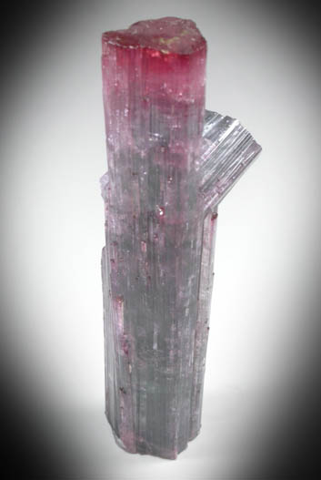 Elbaite Tourmaline from Pederneira Mine, Sao Jose da Safira, Minas Gerais, Brazil