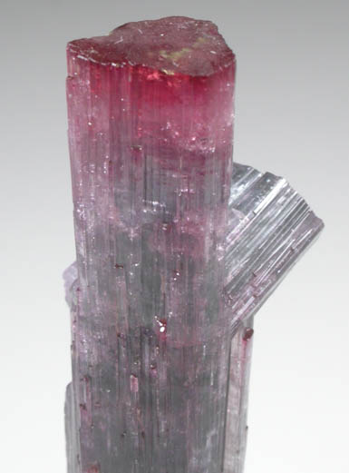 Elbaite Tourmaline from Pederneira Mine, Sao Jose da Safira, Minas Gerais, Brazil