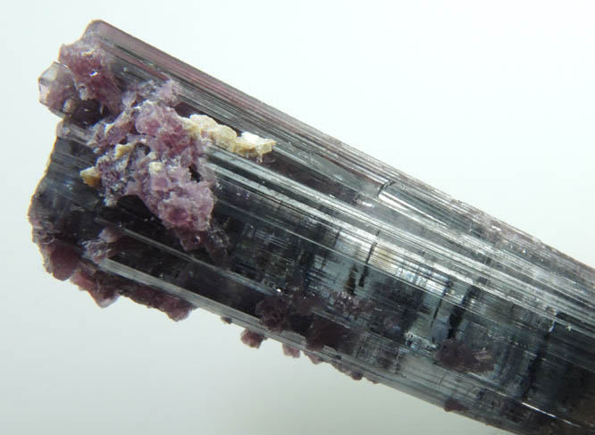 Elbaite Tourmaline with Lepidolite from Governador Valadares, Minas Gerais, Brazil