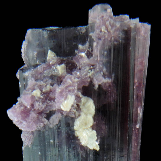 Elbaite Tourmaline with Lepidolite from Governador Valadares, Minas Gerais, Brazil