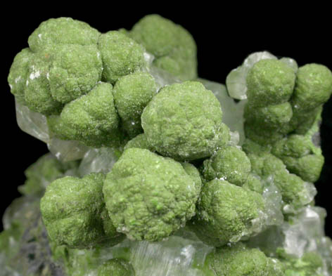 Mottramite on Calcite from Tsumeb Mine, Otavi-Bergland District, Oshikoto, Namibia