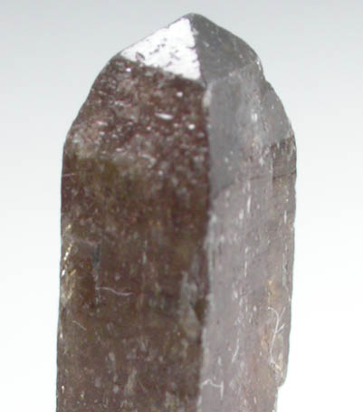 Xenotime-Y from Novo Horizonte, Bahia, Brazil