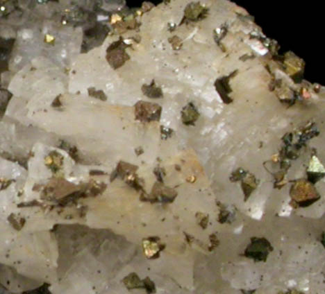 Pyrite on Dolomite from Killough Quarry, Paola, Miami County, Kansas