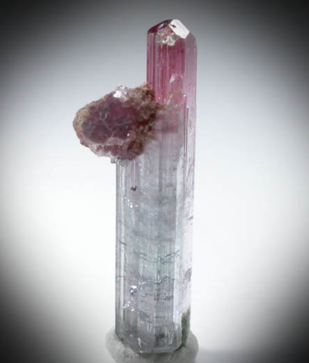 Elbaite Tourmaline with Lepidolite from Pederneira Mine, Sao Jose da Safira, Minas Gerais, Brazil