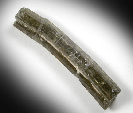 Elbaite Tourmaline, curved crystal from Minas Gerais, Brazil