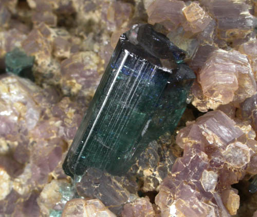 Elbaite Tourmaline in Lepidolite from Minas Gerais, Brazil