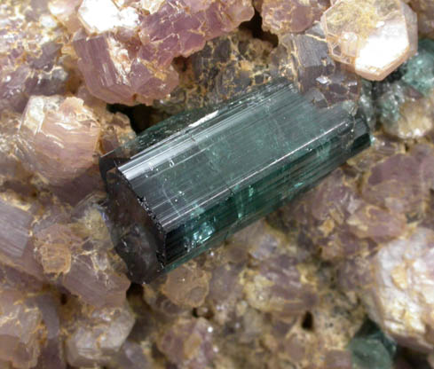 Elbaite Tourmaline in Lepidolite from Minas Gerais, Brazil