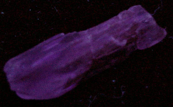 Spodumene var. Kunzite from Minas Gerais, Brazil