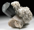 Schorl Tourmaline, Fluorapatite, Albite var. Cleavelandite from Bulochi, near Shengus, Skardu District, Gilgit-Baltistan, Pakistan