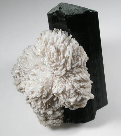 Schorl Tourmaline, Fluorapatite, Albite var. Cleavelandite from Bulochi, near Shengus, Skardu District, Gilgit-Baltistan, Pakistan