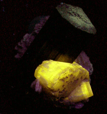 Schorl Tourmaline, Fluorapatite, Albite var. Cleavelandite from Bulochi, near Shengus, Skardu District, Gilgit-Baltistan, Pakistan