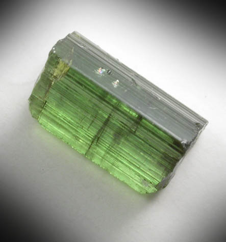 Elbaite Tourmaline from Gillette Quarry, Haddam Neck, Middlesex County, Connecticut