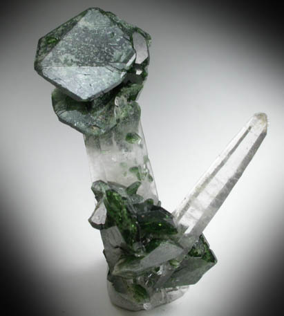 Uvite Tourmaline on Quartz from Brumado District, Serra das guas, Bahia, Brazil