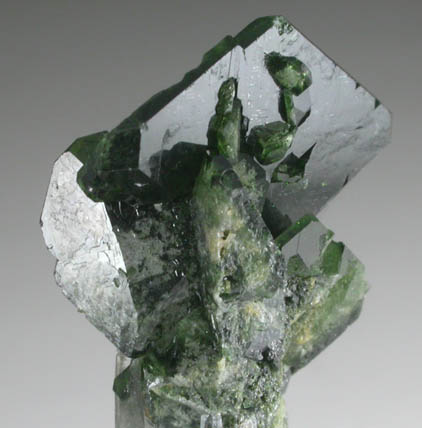 Uvite Tourmaline on Quartz from Brumado District, Serra das guas, Bahia, Brazil