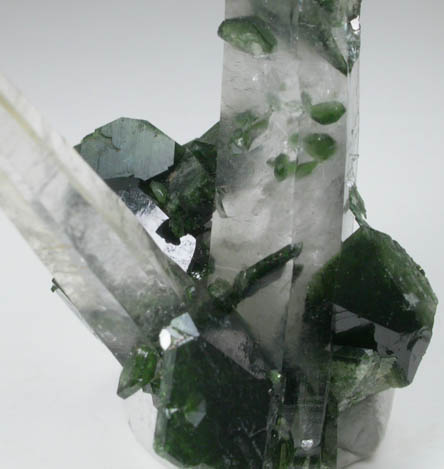 Uvite Tourmaline on Quartz from Brumado District, Serra das guas, Bahia, Brazil