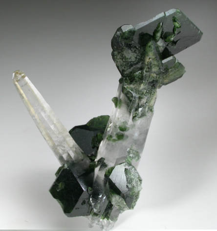 Uvite Tourmaline on Quartz from Brumado District, Serra das guas, Bahia, Brazil