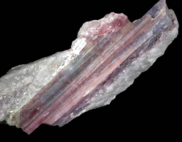 Elbaite Tourmaline in Quartz from Paraiba Mine, Sao Jose da Batalha, Paraiba, Brazil