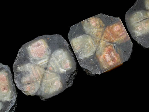 Andalusite var. Chiastolite (set of 4 slices) from Lancaster, Worcester County, Massachusetts