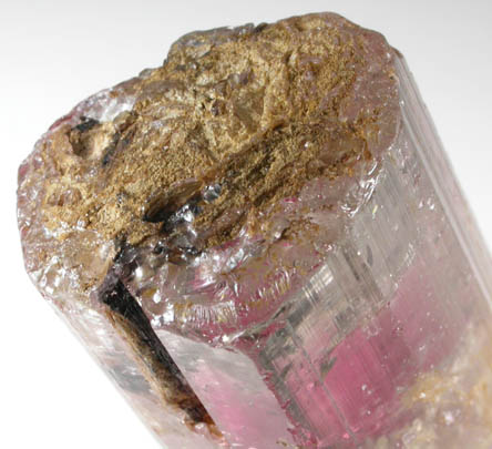 Elbaite Tourmaline from Minas Gerais, Brazil