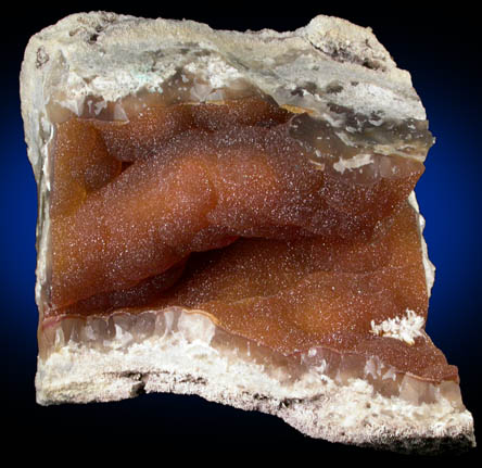 Quartz var. Agate pseudomorphs after Coral (Tampa Bay Coral) from Ballast Point, Tampa Bay, Hillsborough County, Florida