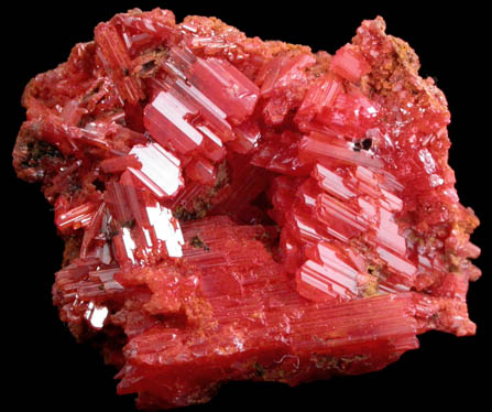 Crocoite from Dundas, Tasmania, Australia