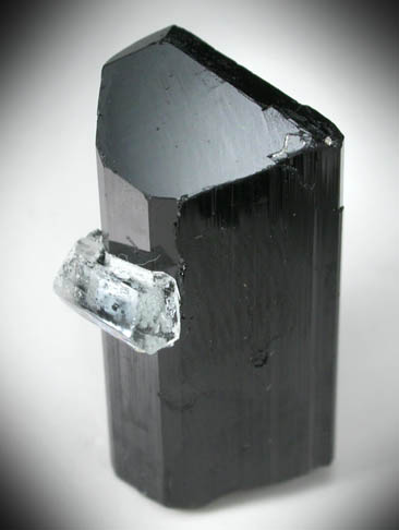 Schorl Tourmaline with Beryl from Skardu District, Skardu District, Gilgit-Baltistan, Pakistan