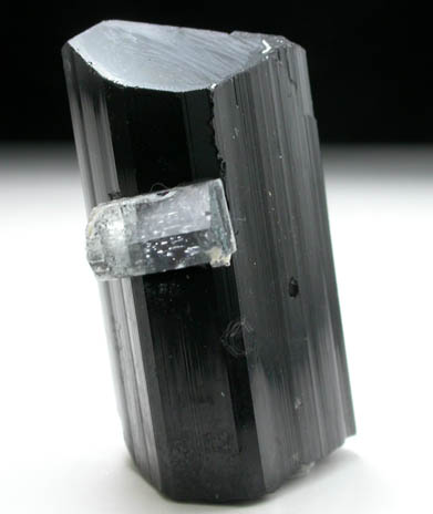 Schorl Tourmaline with Beryl from Skardu District, Skardu District, Gilgit-Baltistan, Pakistan