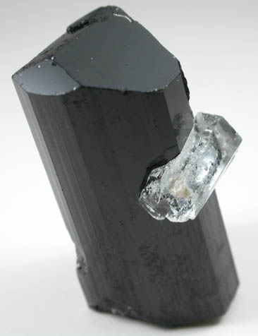 Schorl Tourmaline with Beryl from Skardu District, Skardu District, Gilgit-Baltistan, Pakistan