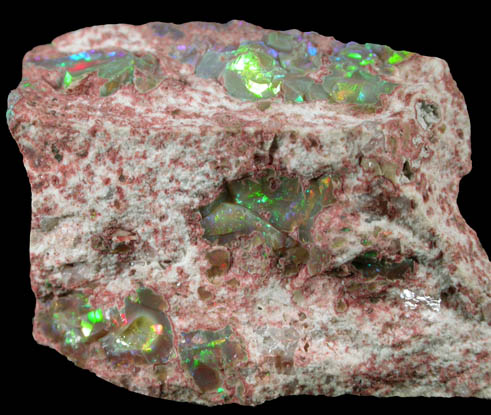 Opal from Jalisco, Mexico