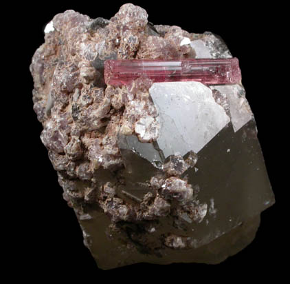 Elbaite var. Rubellite Tourmaline with Lepidolite on Smoky Quartz from Minas Gerais, Brazil