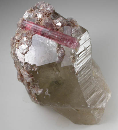 Elbaite var. Rubellite Tourmaline with Lepidolite on Smoky Quartz from Minas Gerais, Brazil