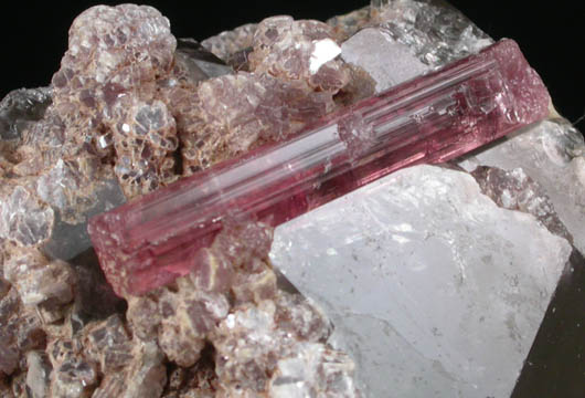 Elbaite var. Rubellite Tourmaline with Lepidolite on Smoky Quartz from Minas Gerais, Brazil