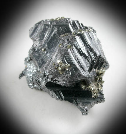 Polybasite with Pyrite from Las Chipas Mine, Arizpe, Sonora, Mexico