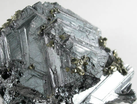 Polybasite with Pyrite from Las Chipas Mine, Arizpe, Sonora, Mexico