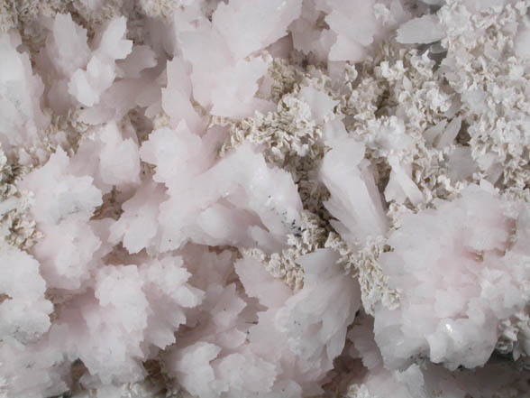 Calcite var. Manganocalcite with Dolomite from Pachapaqui District, Bolognesi Province, Ancash Department, Peru