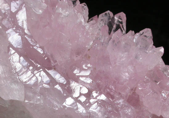 Quartz var. Rose Quartz Crystals on Milky Quartz with Muscovite from Lavra da Ilha, Taquaral, Jequitinhonha River, Minas Gerais, Brazil