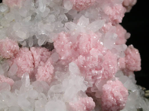 Rhodochrosite on Quartz with Pyrite from Davidkovo Mine, Madan District, Rhodope Mountains, Bulgaria