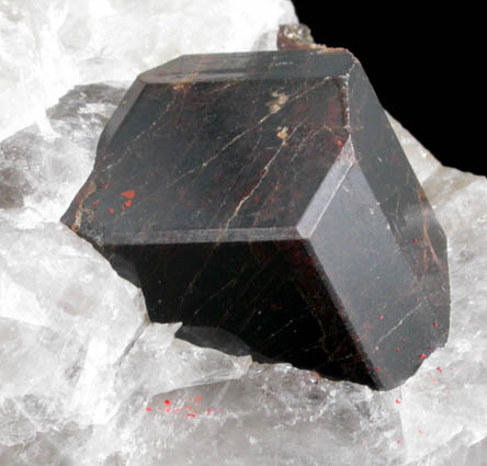 Andradite Garnet in Quartz from Garnet Hill, Calaveras County, California